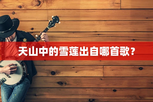 天山中的雪莲出自哪首歌？