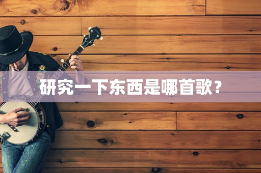 研究一下东西是哪首歌？