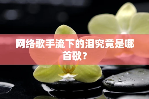 网络歌手流下的泪究竟是哪首歌？