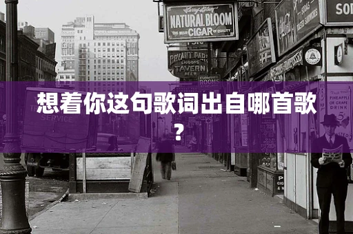想着你这句歌词出自哪首歌？