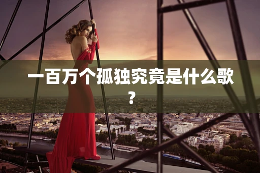 一百万个孤独究竟是什么歌？