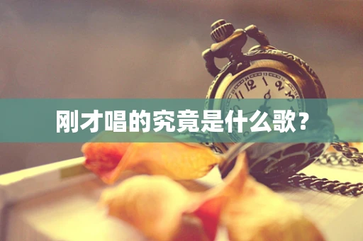 刚才唱的究竟是什么歌？