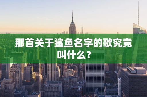 那首关于鲨鱼名字的歌究竟叫什么？