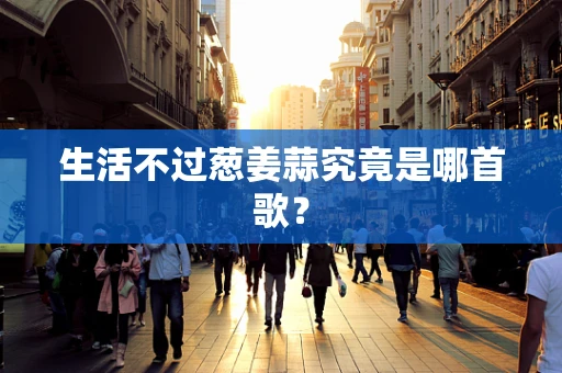 生活不过葱姜蒜究竟是哪首歌？