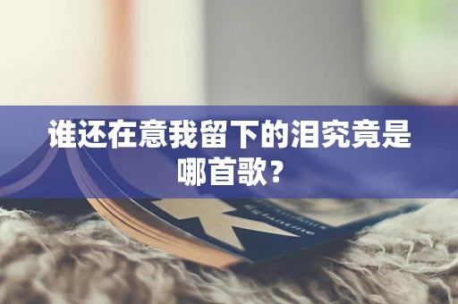 谁还在意我留下的泪究竟是哪首歌？