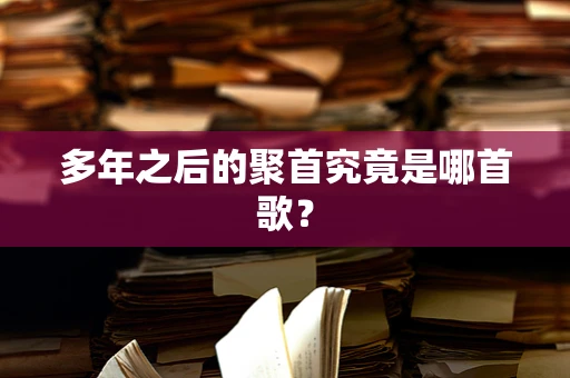 多年之后的聚首究竟是哪首歌？