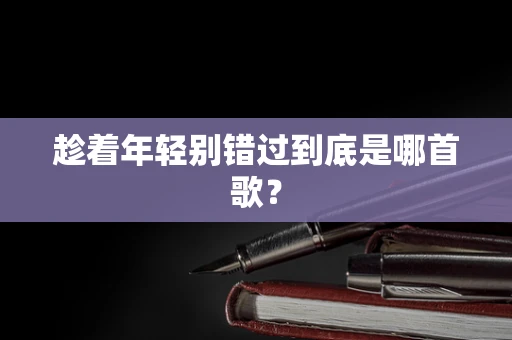趁着年轻别错过到底是哪首歌？