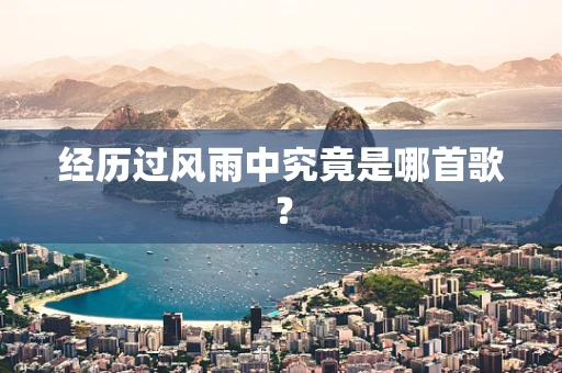 经历过风雨中究竟是哪首歌？