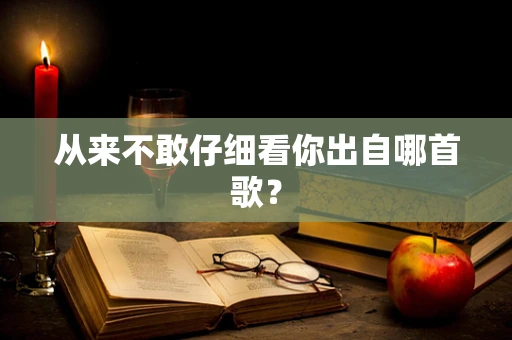 从来不敢仔细看你出自哪首歌？