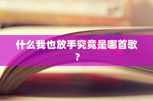 什么我也放手究竟是哪首歌？