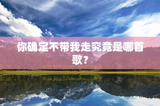 你确定不带我走究竟是哪首歌？