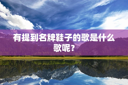 有提到名牌鞋子的歌是什么歌呢？