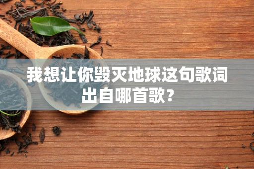 我想让你毁灭地球这句歌词出自哪首歌？