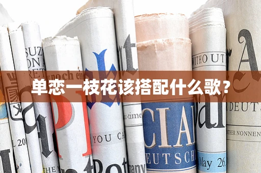 单恋一枝花该搭配什么歌？