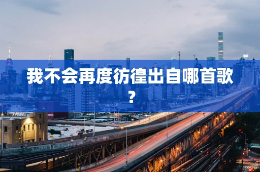 我不会再度彷徨出自哪首歌？