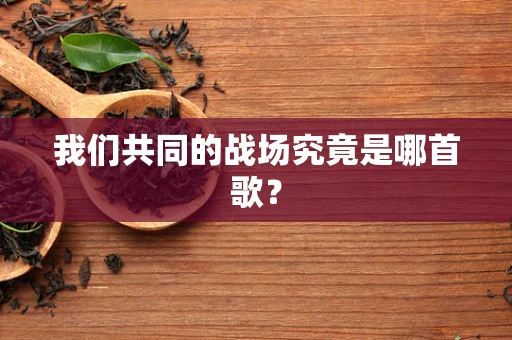 我们共同的战场究竟是哪首歌？