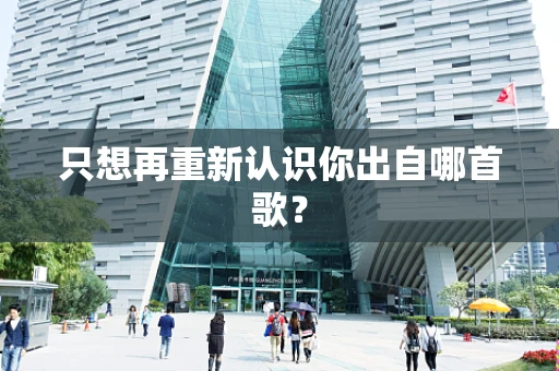 只想再重新认识你出自哪首歌？