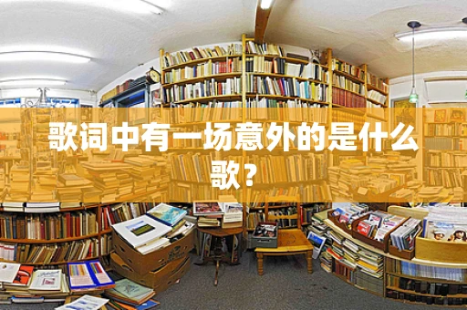 歌词中有一场意外的是什么歌？