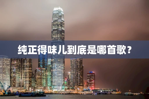 纯正得味儿到底是哪首歌？