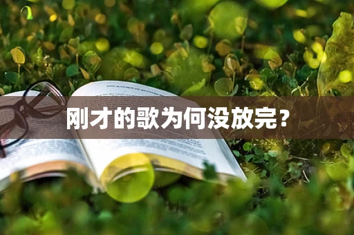 刚才的歌为何没放完？