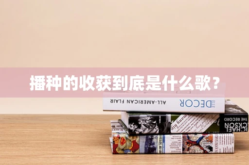 播种的收获到底是什么歌？