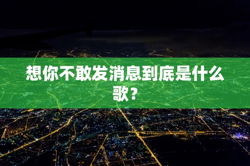 想你不敢发消息到底是什么歌？