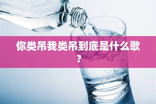 你类吊我类吊到底是什么歌？