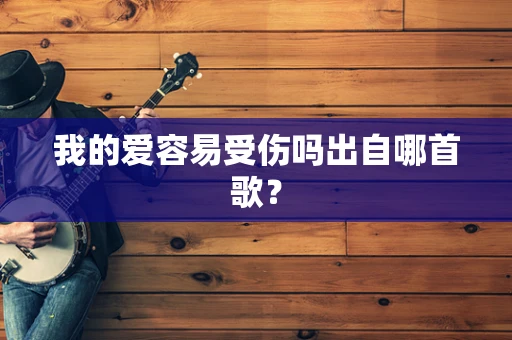我的爱容易受伤吗出自哪首歌？