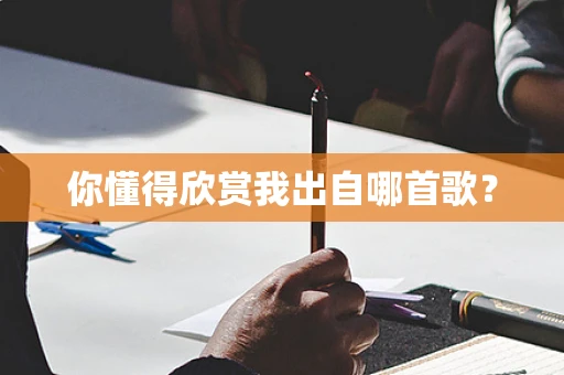 你懂得欣赏我出自哪首歌？