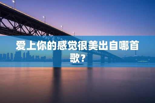 爱上你的感觉很美出自哪首歌？