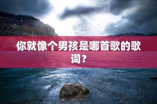 你就像个男孩是哪首歌的歌词？