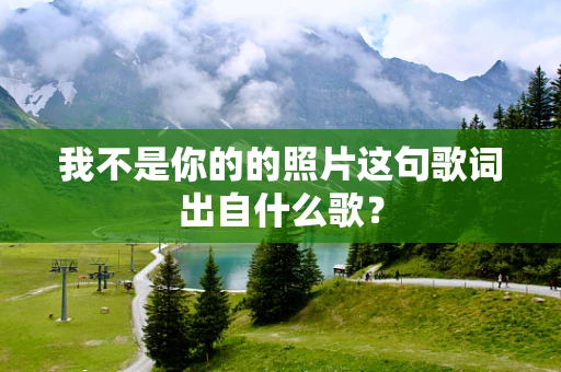 我不是你的的照片这句歌词出自什么歌？