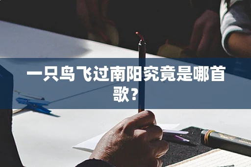 一只鸟飞过南阳究竟是哪首歌？