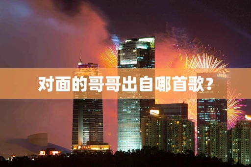 对面的哥哥出自哪首歌？