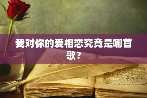 我对你的爱相恋究竟是哪首歌？