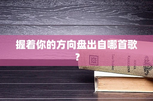 握着你的方向盘出自哪首歌？