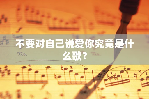 不要对自己说爱你究竟是什么歌？