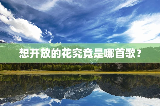 想开放的花究竟是哪首歌？