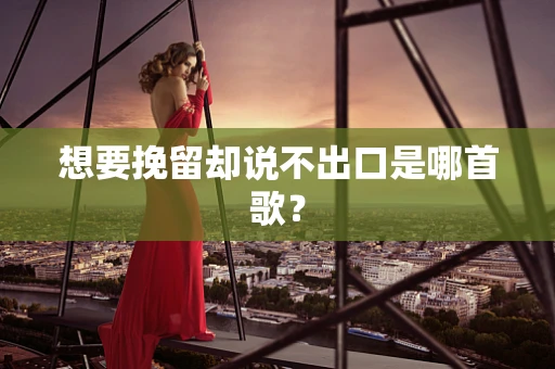 想要挽留却说不出口是哪首歌？