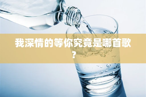 我深情的等你究竟是哪首歌？