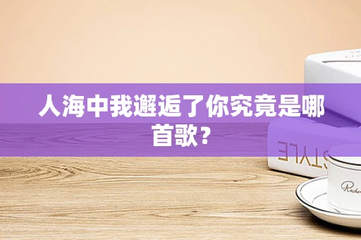 人海中我邂逅了你究竟是哪首歌？
