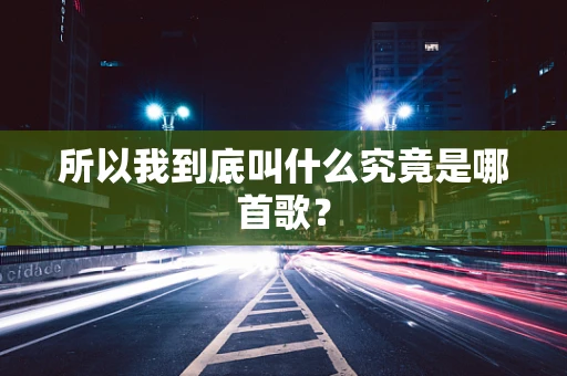 所以我到底叫什么究竟是哪首歌？