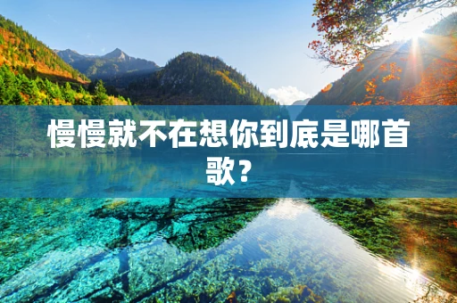 慢慢就不在想你到底是哪首歌？