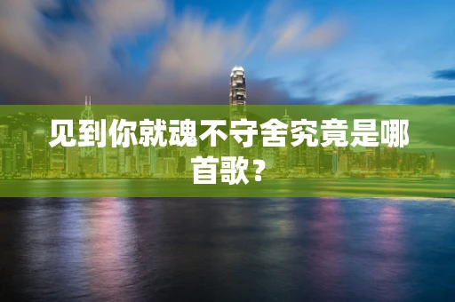 见到你就魂不守舍究竟是哪首歌？