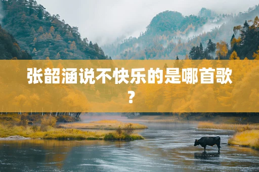 张韶涵说不快乐的是哪首歌？