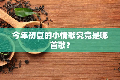 今年初夏的小情歌究竟是哪首歌？