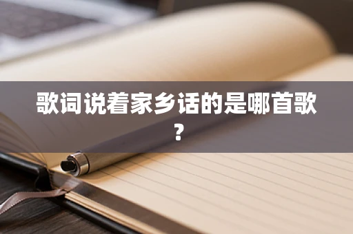 歌词说着家乡话的是哪首歌？