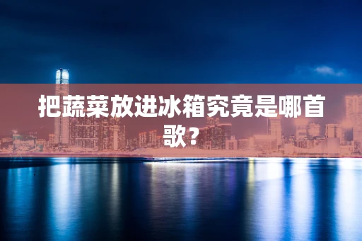 把蔬菜放进冰箱究竟是哪首歌？
