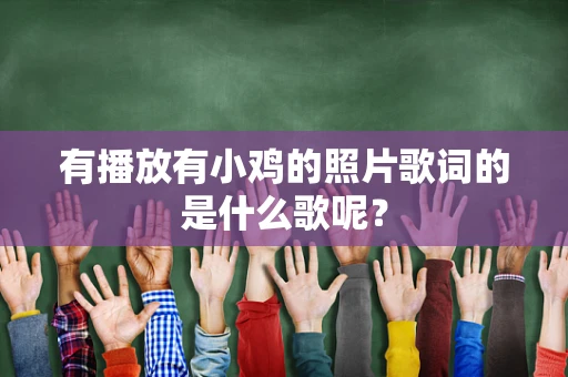 有播放有小鸡的照片歌词的是什么歌呢？