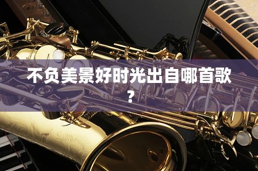 不负美景好时光出自哪首歌？
